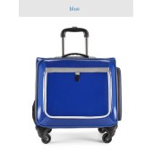 Pet cat trolley case oversized 15 kg dog travel two cats out portable four-wheel suitcase for travel